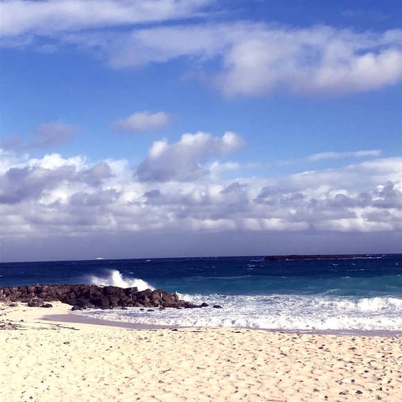 Meet your Posher, Danielle - Picture 2 of 2